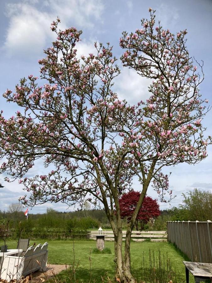 Reggezicht; Mooi Op Prachtige Plek! Holiday home